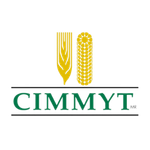Logo 7