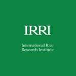 Logo 7