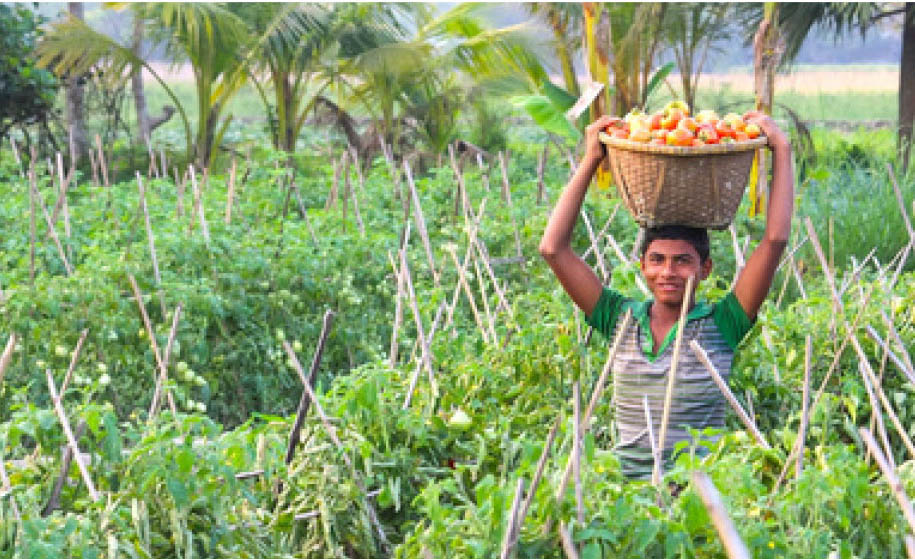 Safe vegetable marketing van with farmers