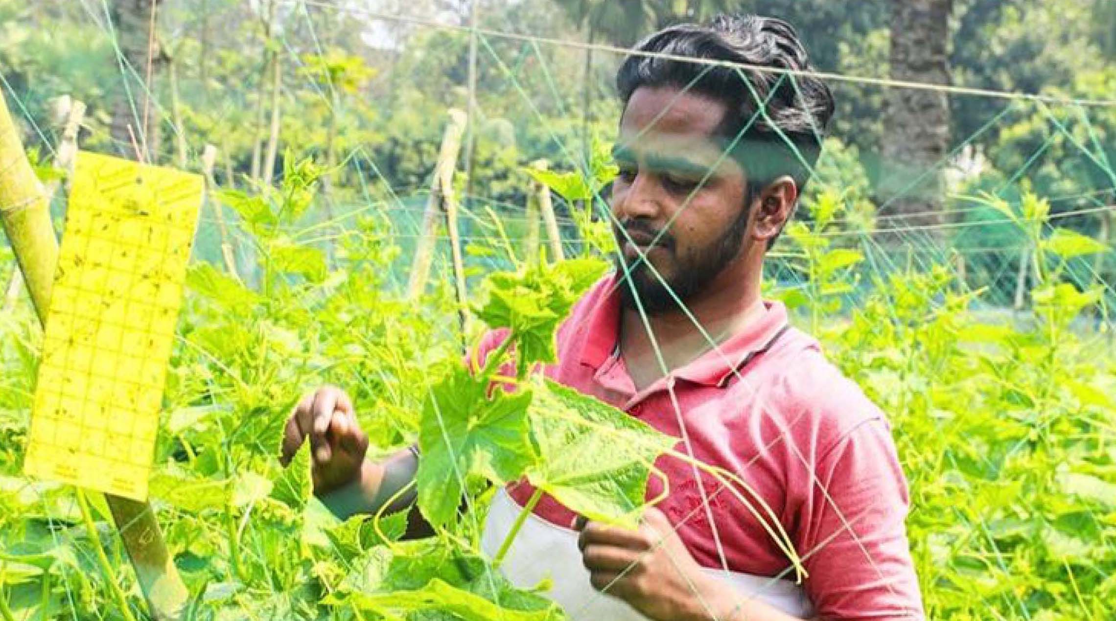 Sohel Molla working in his nursery