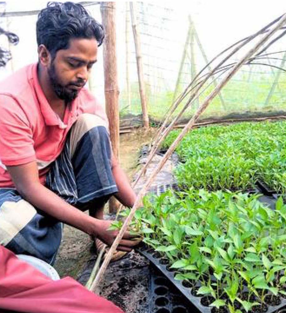 Sohel caring for seedlings in cocopeat