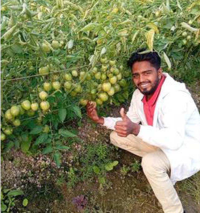 Sohel in vegetable garden